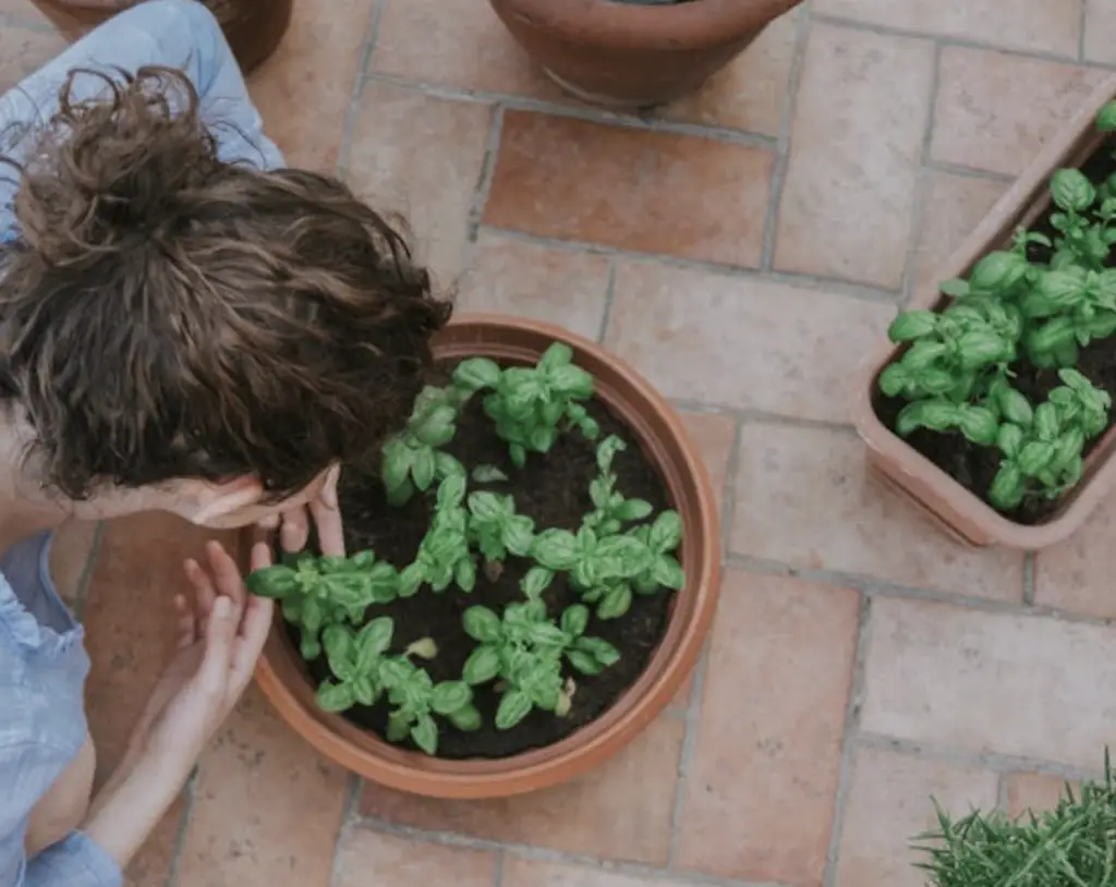 A girl tending to a potted plant.